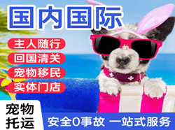 北京首都机场空运国际宠物托运 【国